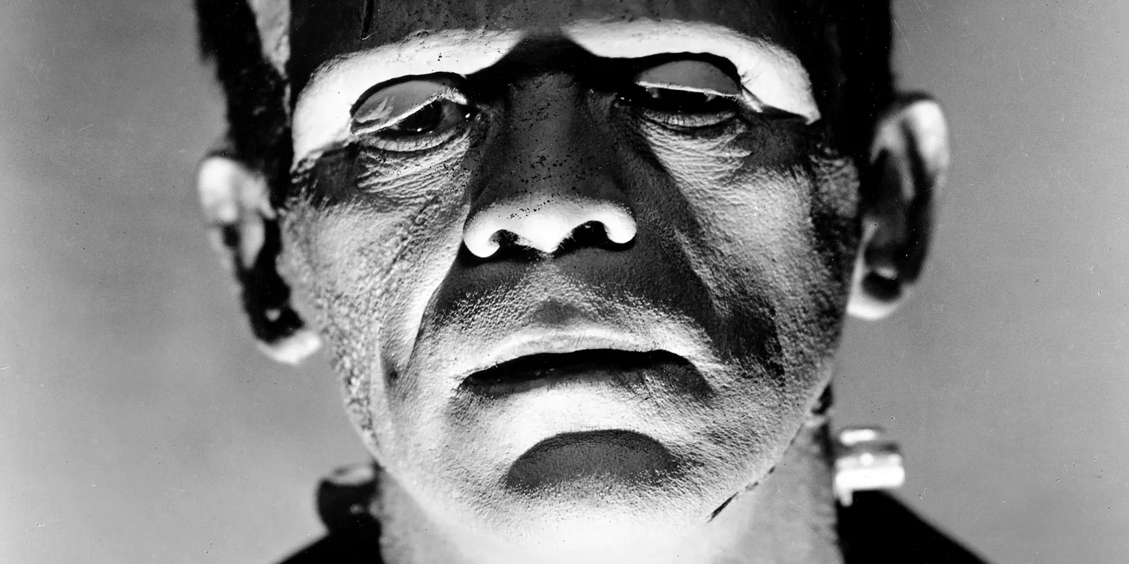 Et portræt af Frankensteins monster