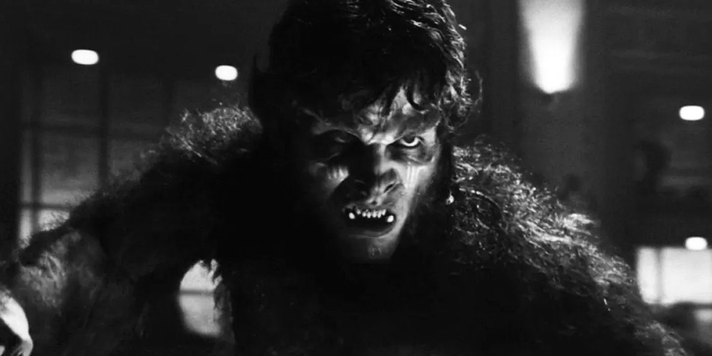 Werewolf By Night Jack Russell